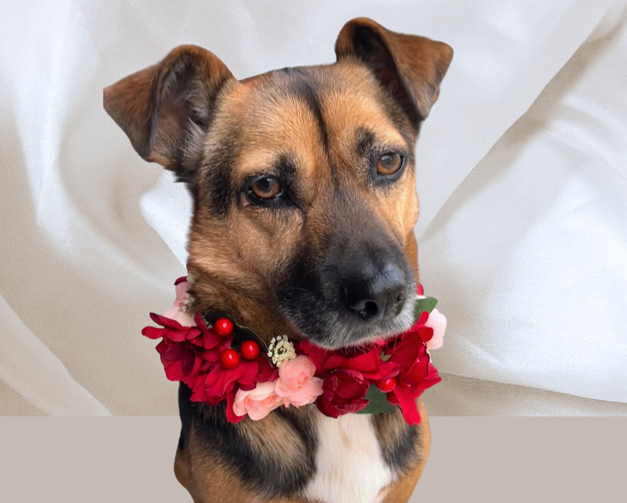 Flower Dog Collar Wedding Flower Wreath Silk Flower Crown Etsy