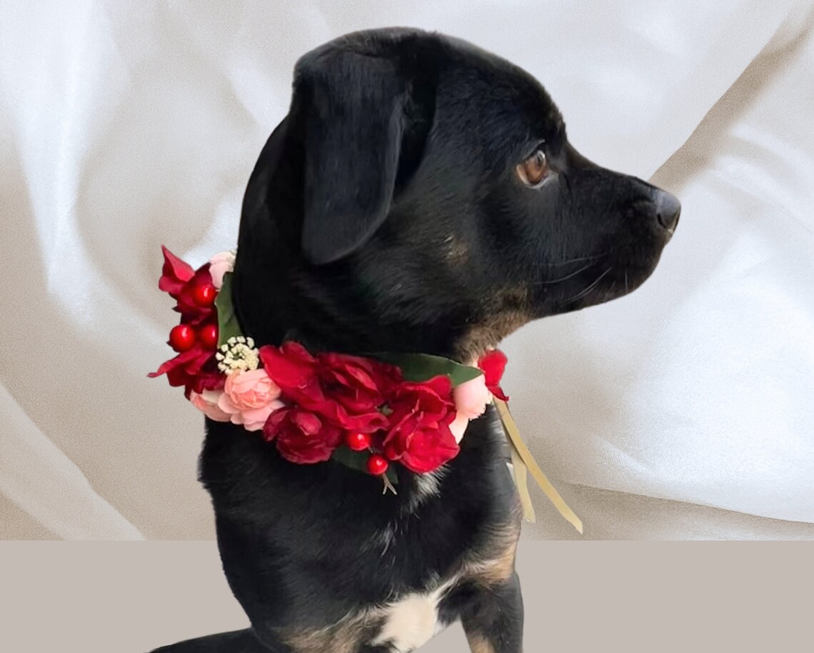 Flower Dog Collar Wedding Flower Wreath Silk Flower Crown Etsy