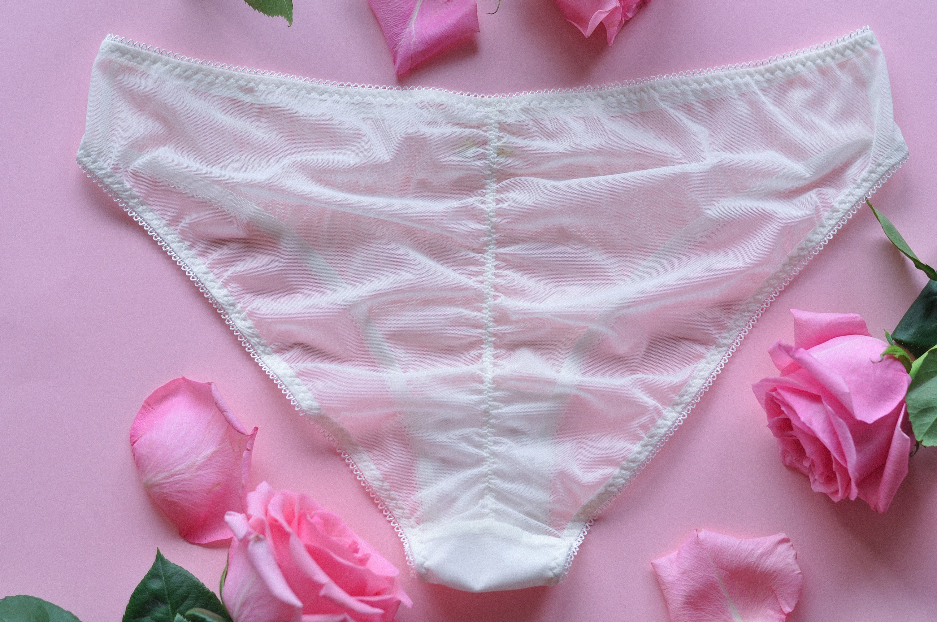 Various Tulle Panties With Embroidered Roses, Handmade Embroidered ...