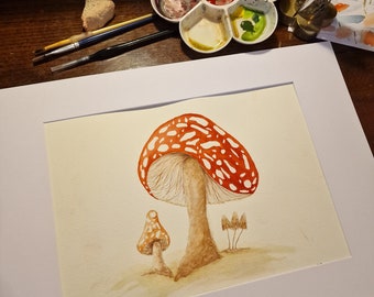 Study of Fly Agaric