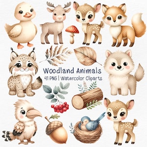 Imágenes prediseñadas de acuarela de animales del bosque, imágenes prediseñadas de animales del bosque, imágenes prediseñadas de búho oso, bosque de acuarela, cliaprt de alce lindo, imágenes prediseñadas de animales bebé