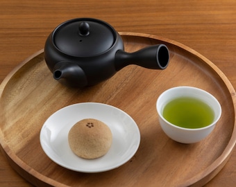 Kyusu Teapot with Infuser 300 ml (10 Fl oz) Japanese Handmade Tokoname Ceramic for Green Tea, Gift