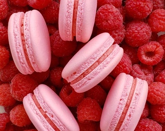 Raspberry Macarons - Macaroons Cookies Treats Delicious Flavor - Pink Macarons - Carousel Macarons