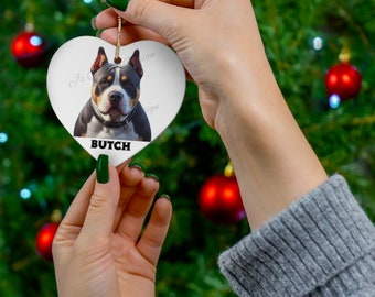 Ornement personnalisé pour animal de compagnie, ornement personnalisé pour chien, ornement chat, cadeau de Noël pour animal de compagnie, ornement de Noël, ornement de Noël chien personnalisé