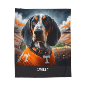 Smokey VOLS Blanket main image 1