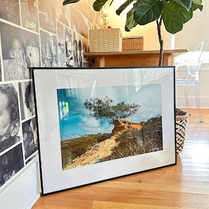 Puede incluir: Fotografía enmarcada de un paisaje con un árbol solitario en un acantilado bajo un cielo azul con nubes. La foto tiene un borde blanco y un marco negro. La imagen está apoyada contra una pared y un suelo de madera.