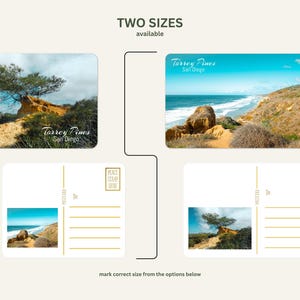 Puede incluir: Postales con vistas panorámicas de Torrey Pines, San Diego. La imagen muestra dos diseños de postales con fotos de paisajes y el texto "Torrey Pines San Diego". Las postales están disponibles en dos tamaños.