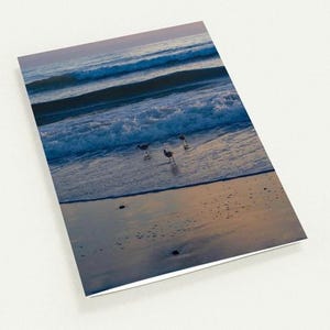 10 biglietti d'auguri (I 3 chiurli 5,5"x8,5")