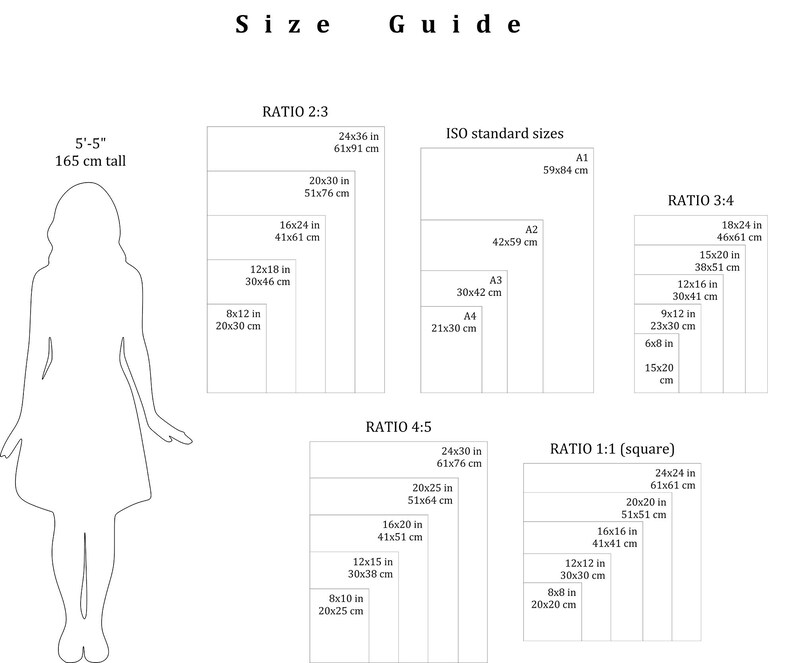May include: Size guide graphic with dimensions for various print ratios, including 2:3, 3:4, 4:5, and 1:1 (square). Measurements are provided in inches and centimeters, with a silhouette of a person 5'5" (165 cm) tall for scale.