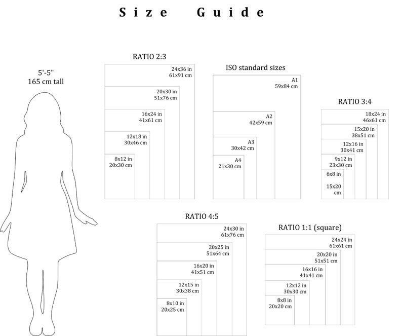 May include: A size guide for clothing with a diagram of a woman's body and a chart showing different ratios and sizes in inches and centimeters. The chart includes standard ISO sizes, such as A1, A2, A3, and A4.