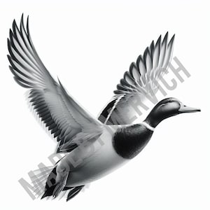 Laser Engrave PNG - Full Body Mallard / Duck / Duck Hunting / Laser Ready / PNG for Engraving /  PNG Burn / Laser Engrave Image/Digital File