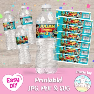 Toy Story Water Bottle Label - Toy Story Party - Woody - Buzz Lightyear - Favor Bags - Digitaal bestand - Aanpasbaar (PDF, JPG en SVG)