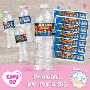 Toy Story Water Bottle Label - Toy Story Party - Woody - Buzz Lightyear - Favor Bags - Digitaal bestand - Aanpasbaar (PDF, JPG en SVG)
