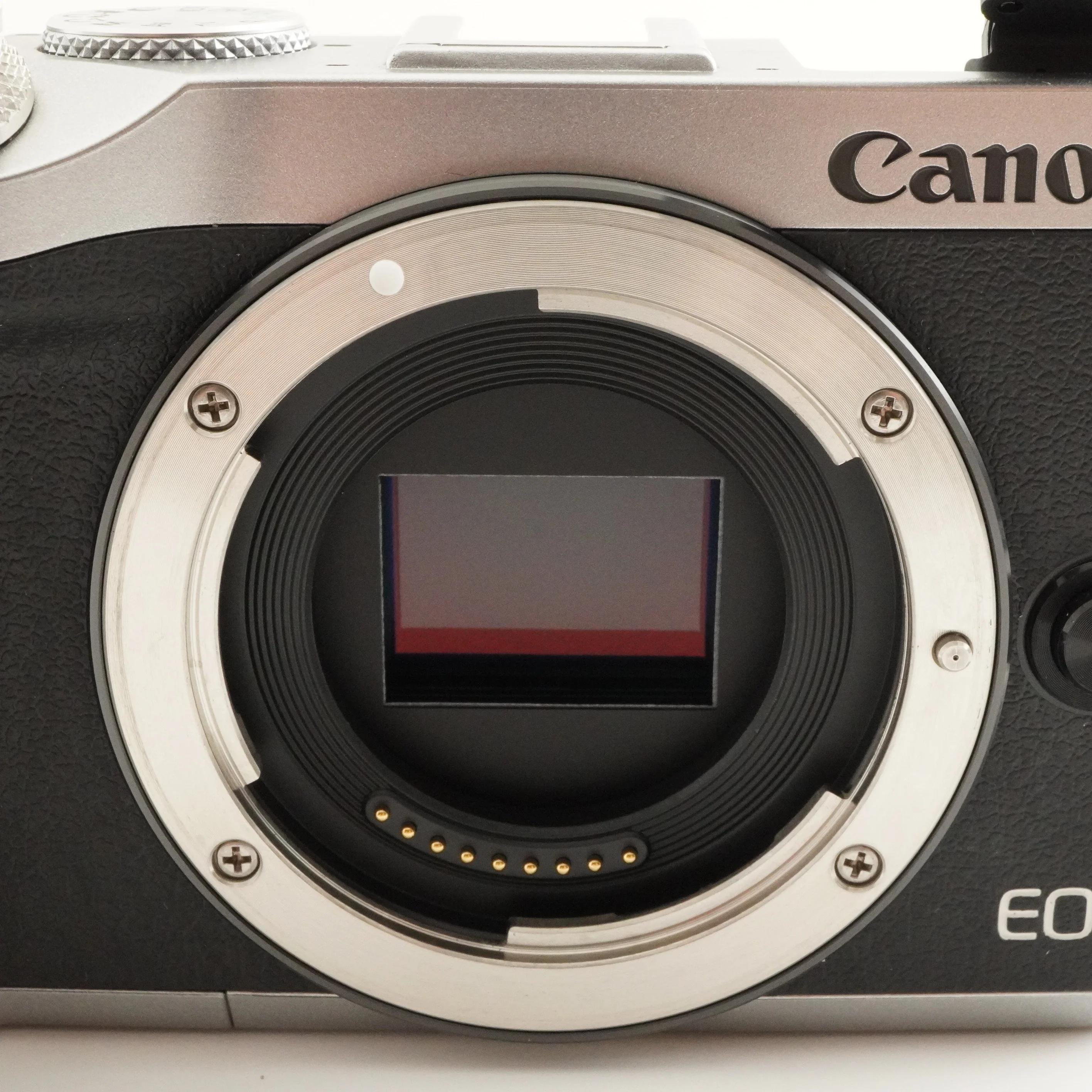 Canon EOS M6 Silver + EVF-DC2 Mirrorless Digital Camera From Japan