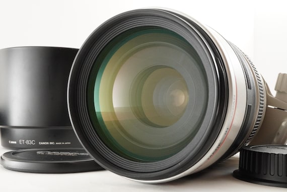 Canon EF 100-400mm F4.5-5.6L IS Usm Af Zoom Lens From Japan #1846