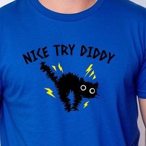 Fun, &quot;Nice Try Diddy&quot; T-Shirt, P Diddy, Puff Daddy, Puffy, The Diddler, Bad Boy, 50 Cent Gift Shirt for Him, Her, Men Women