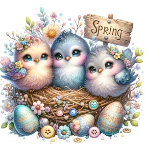 Clipart nid d'oiseau, 10 PNG aquarelle de printemps, journal indésirable de Pâques, fabrication de cartes, étiquette cadeau, chemise de professeur, images numériques imprimable par sublimation