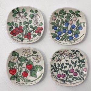 Arabia esteri tomula - Etsy 日本