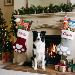 May include: A black and white Border Collie sits before a fireplace with two paw-shaped Christmas stockings hanging above. The left red stocking is embroidered with Bella and contains a gingerbread toy and Pup Treats. The right gray stocking is embroidered with Charlie and contains a reindeer toy and Cat Nip Bites.