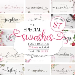 The Special Swashes Font Bundle 75+ Fonts bundle collection with tails Cricut, Handwritten font, Calligraphy New fonts