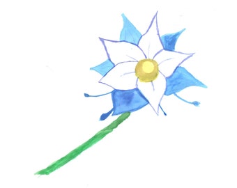 picture