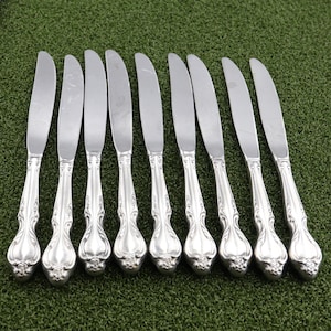 INTERNATIONAL Lyon Stainless Queen&#39;s Fancy 9 Dinner Knife