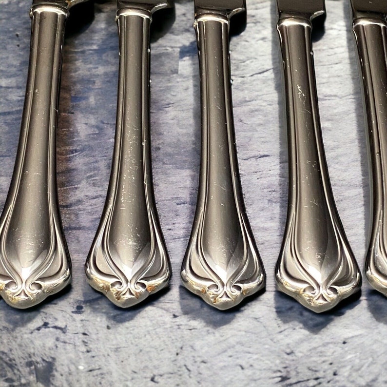 Lenox Alcott 9 Dinner Knives 18/10 Stainless Flatware 9 Etsy