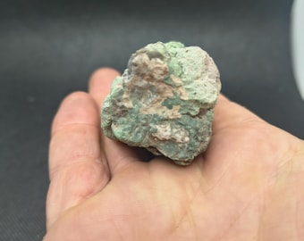 Chromium Petrified Wood
