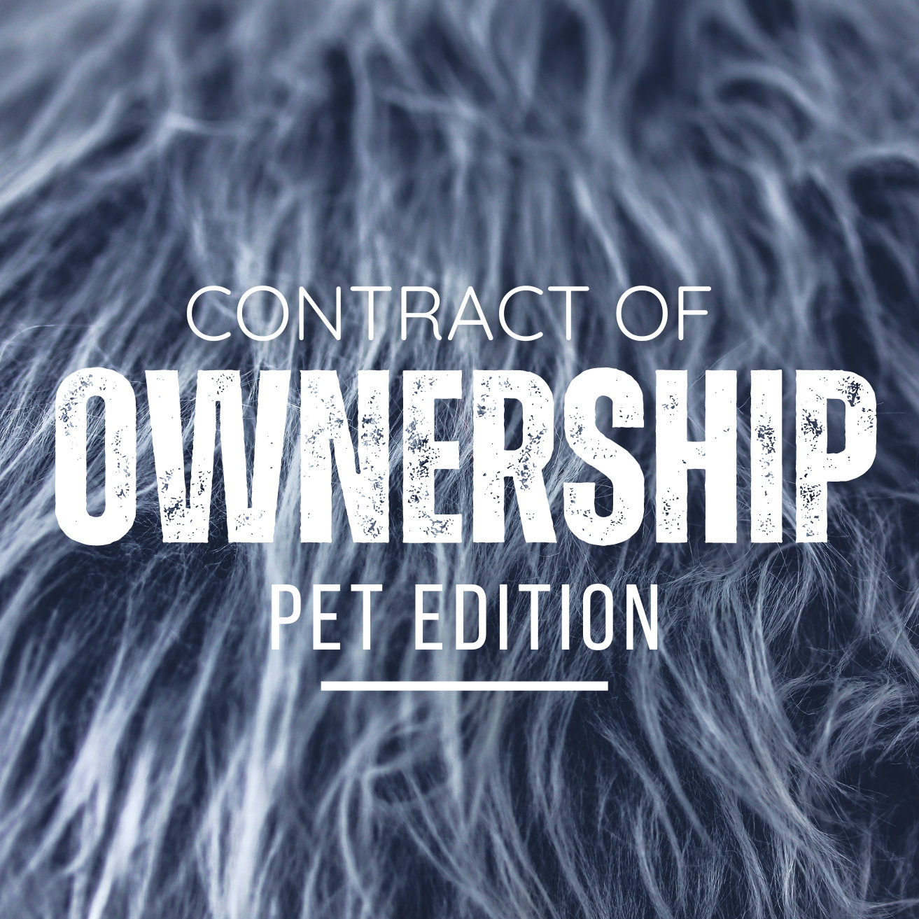 CONTRACT OF OWNERSHIP - Pet Play Edition