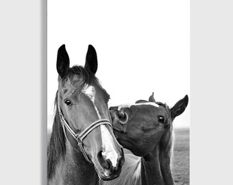 Horse Canvas, Equestrian Print, Horse Wall Art, Horse Print, 24x36 Print, Horse Photo, Two Horses Poster, Equestrian Wall Art, Two Wall Art