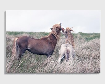 Horse Canvas Equestrian Print, Horse Wall Art, Horse Print, Horse Photo, Equestrian Canvas Wall Art, Wall Art for Horse Lowers, Horse Poster