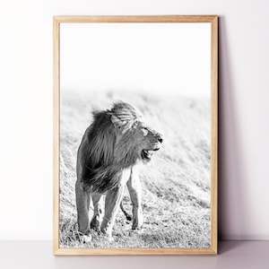 Lion Wall Art, Lion Framed Print, Lion Large Poster, Lion Black White Photo, African Animal Print, Safari Wall Art, Lion in Savannah Print