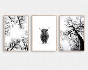 Woodland 3 Piece Wall Art, Bison Poster, Nature Triptych, Bison Print, Winter Tree, Bison Canvas Art, Winter Forest, Bison Black White Photo