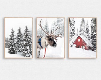 Christmas Reindeer 3 Piece Wall Art, Nature Triptych, Winter Wall Art, Reindeer Print, Christmas Print Set, Deer Wall Art, Winter Pine Trees