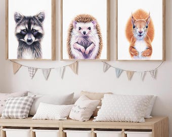 Kids Room Wall Art Set, Cute Animal Nursery Art, Forest Animal Print, Raccoon Poster Nursery Canvas Triptych, Squirrel Art, Hedgehog Picture