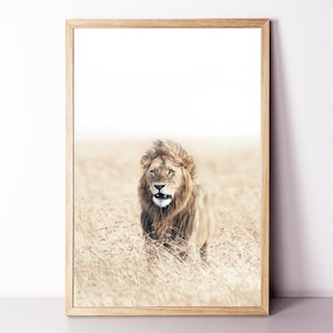 Lion Wall Art, Lion Framed Print, Lion Large Poster, Lion Photo, African Animal Print, Safari Wall Art, Lion in Savannah Neutral Color Print