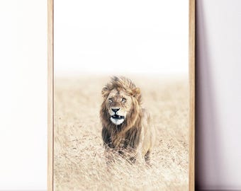 Lion Wall Art, Lion Framed Print, Lion Large Poster, Lion Photo, African Animal Print, Safari Wall Art, Lion in Savannah Neutral Color Print