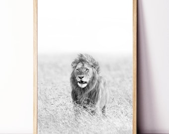 Lion Wall Art, Lion Framed Print, Lion Large Poster, Lion Black White Photo, African Animal Print, Safari Wall Art, Lion in Savannah Print