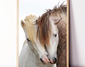 Horse Wall Art, Equestrian Print, Two Horses Framed Print, Large Horse Poster, Equestrian Wall Art, Horse Kiss, Farmhouse Decor, Horse Photo
