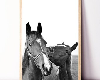 Horse Wall Art, Equestrian Print, Two Horses Framed Print, Large Horse Poster, Equestrian Wall Art, Horse Kiss, Farmhouse Decor, Horse Photo