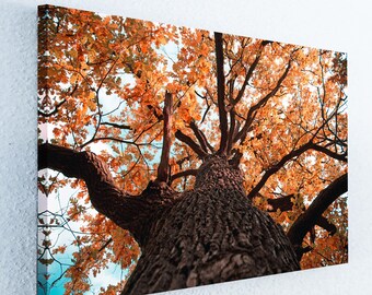 Colorful Canvas Print, Tree Wall Art, Forest Panorama, Nature Living Decor, Trees & Sky Canvas, Tree Large Poster, Wood Art, Northern Nature