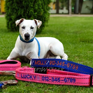 Custom Dog Collar – Personalized Pet Collar with Text & Emojis, Handmade Embroidered Design, All Sizes for Small to Large Breeds