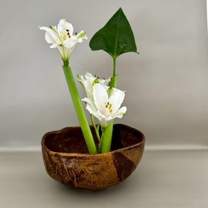 Op de afbeelding: Een bruine, getextureerde keramische kom bevat witte alstroemeria bloemen en een groen blad. De bloemen hebben witte bloemblaadjes met gele en bruine markeringen. De stelen zijn groen en de kom heeft een donkerbruine, rustieke uitstraling.