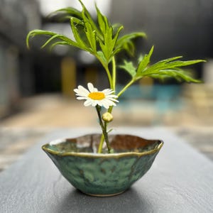 Op de afbeelding: Een kleine, handgemaakte keramische kom in groen- en bruintinten bevat een madeliefje en groen blad. De kom heeft een unieke, organische vorm en een getextureerd oppervlak. De opstelling staat tegen een donkergrijze achtergrond.