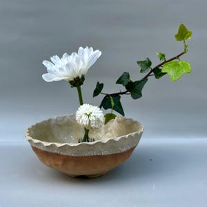 May include: A ceramic bowl with a scalloped rim holds a white chrysanthemum and a small, round white flower. Green ivy with small leaves and a stem extends from the bowl. The bowl has a light beige interior and a brown band around the exterior.