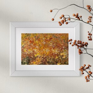 Quadro dipinto a mano, pronto per la spedizione. Decorazione minimalista. Stampa d'arte astratta. Cartolina dipinta a mano da regalare.