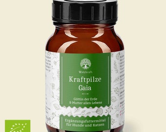 318,00 EUR/kg BIO Kraftpilze Gaia - Vitalpilz Synergetikum - 100g