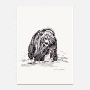 Stampa di un orso grizzly disegnata a mano su carta opaca di qualità museale