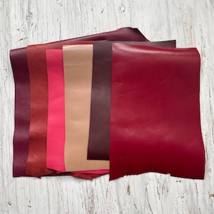 Pode incluir: Uma coleção de folhas de couro em várias tonalidades de vermelho, rosa e castanho. As cores variam do bordô profundo ao carmesim vibrante, com uma folha bege e rosa claro no meio. O couro tem uma textura lisa.