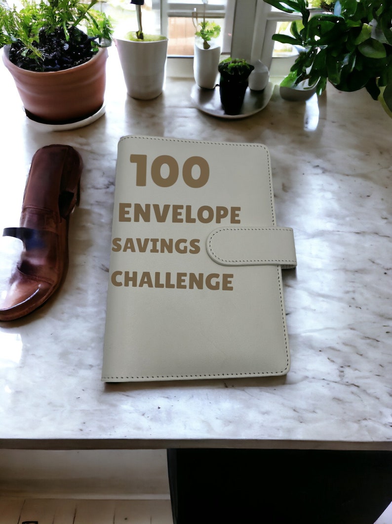 100 Envelopes Money Saving Challenge, Budget Binder, A6 Binder, Cash